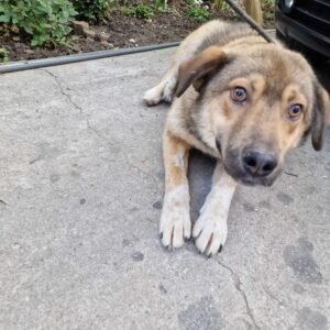 Charlie and Charlene