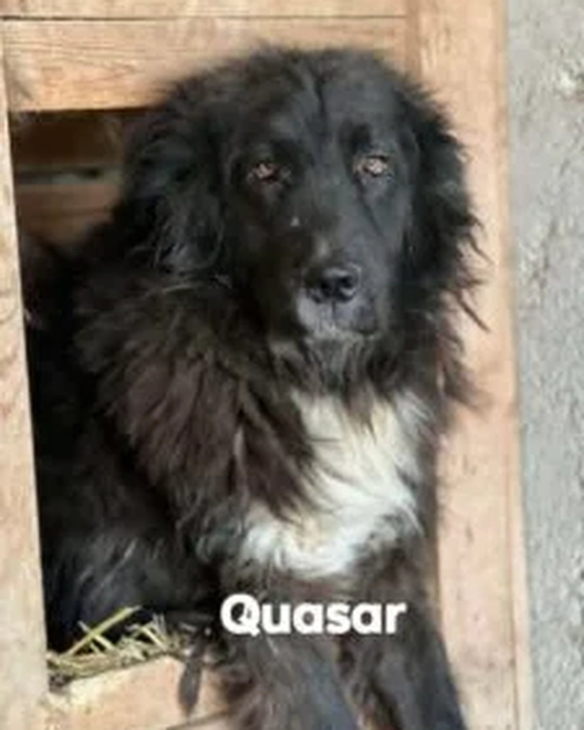 Quasar