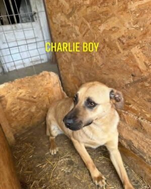 Charlie